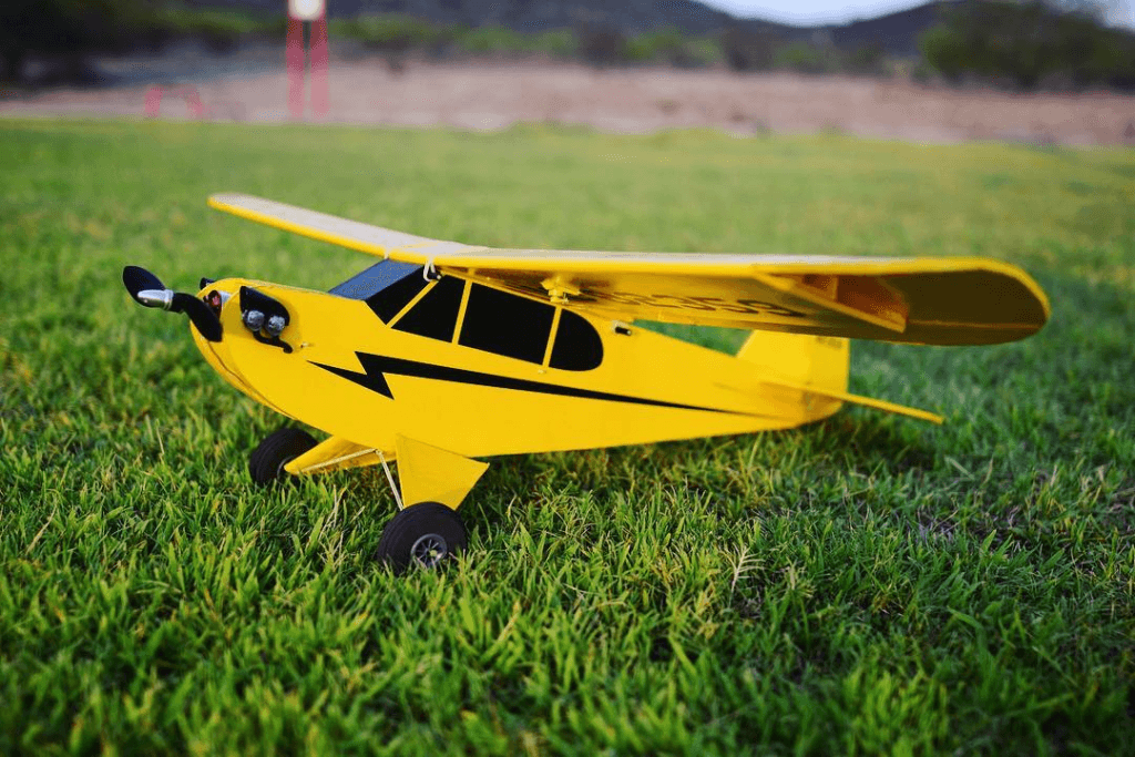 FT Simple Cub Ready for Maiden